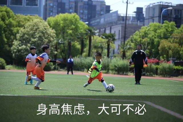身高焦虑，大可不必